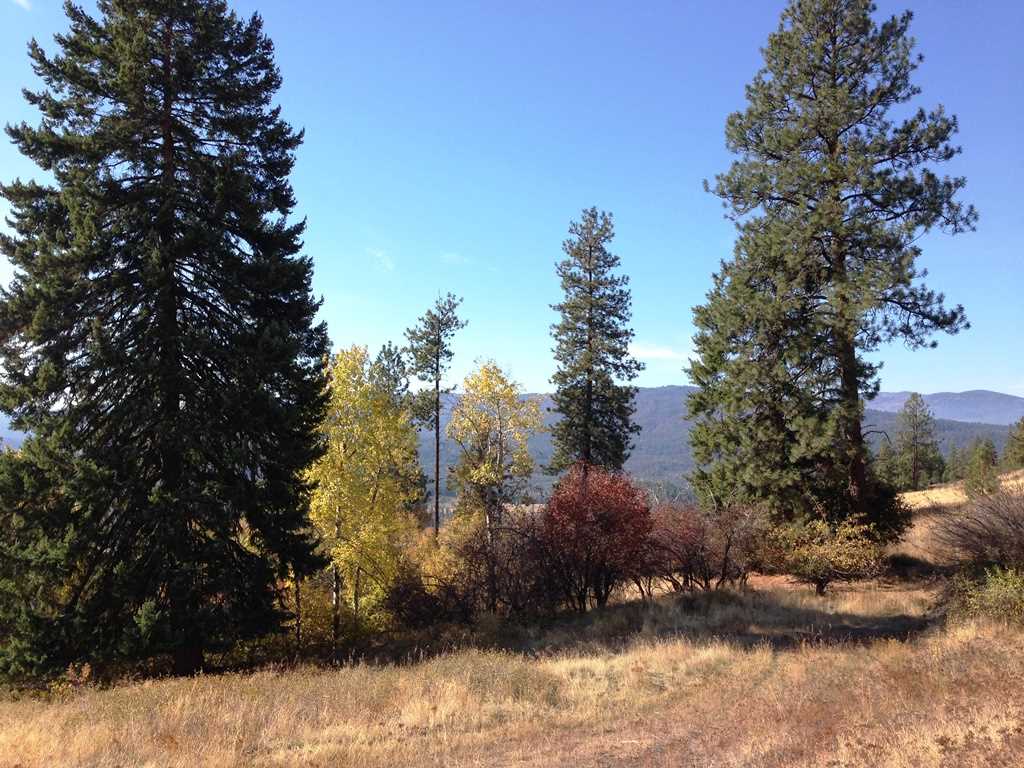 2800-blk Mcnitt Road Kettle Falls, WA 99141 - Photo 11 of 16 Gallery Image 11