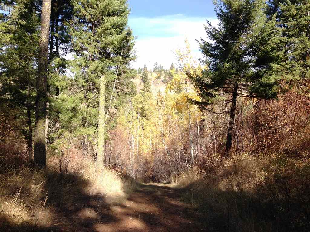 2800-blk Mcnitt Road Kettle Falls, WA 99141 - Photo 14 of 16 Gallery Image 14