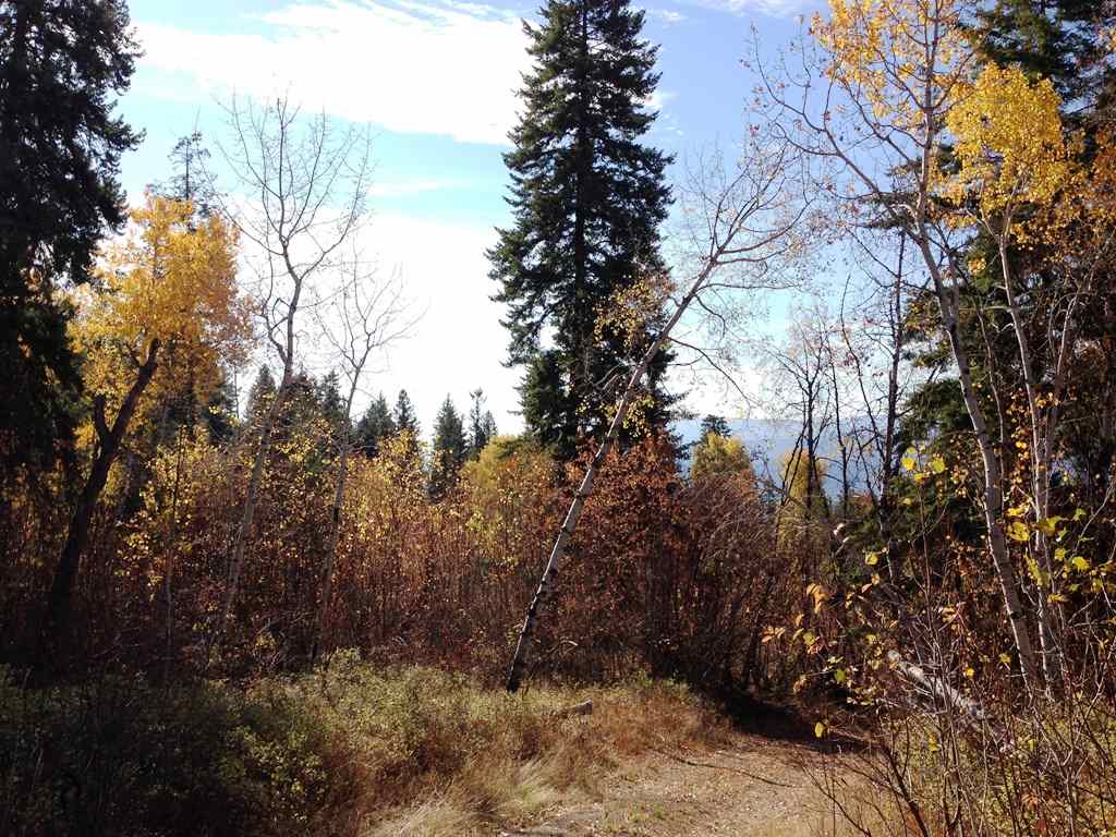 2800-blk Mcnitt Road Kettle Falls, WA 99141 - Photo 16 of 16 Gallery Image 16