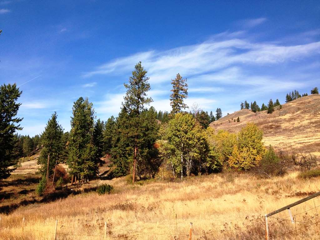 2800-blk Mcnitt Road Kettle Falls, WA 99141 - Photo 3 of 16 Gallery Image 3