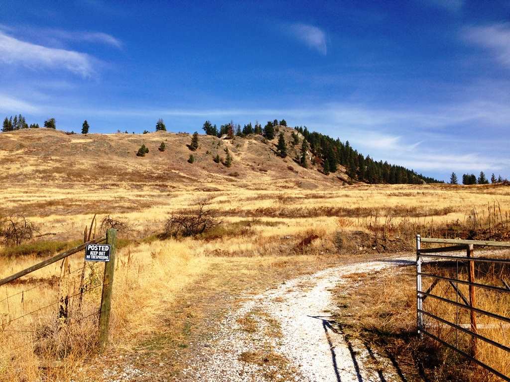 2800-blk Mcnitt Road Kettle Falls, WA 99141 - Photo 4 of 16 Gallery Image 4