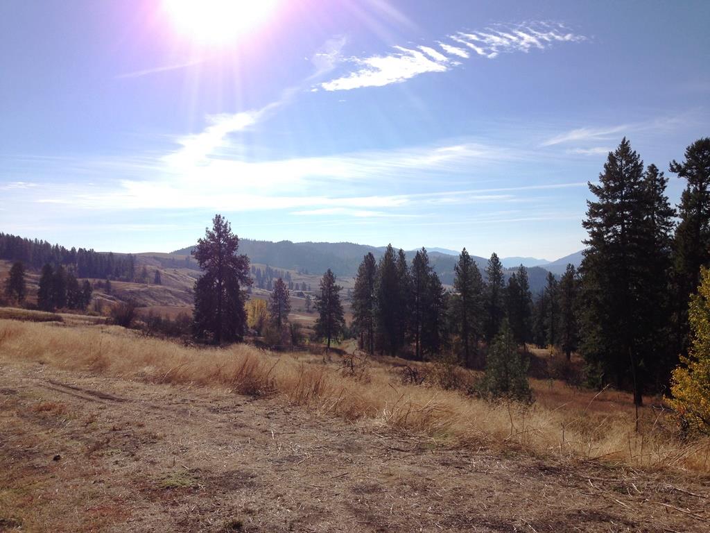 2800-blk Mcnitt Road Kettle Falls, WA 99141 - Photo 10 of 16 Gallery Image 10