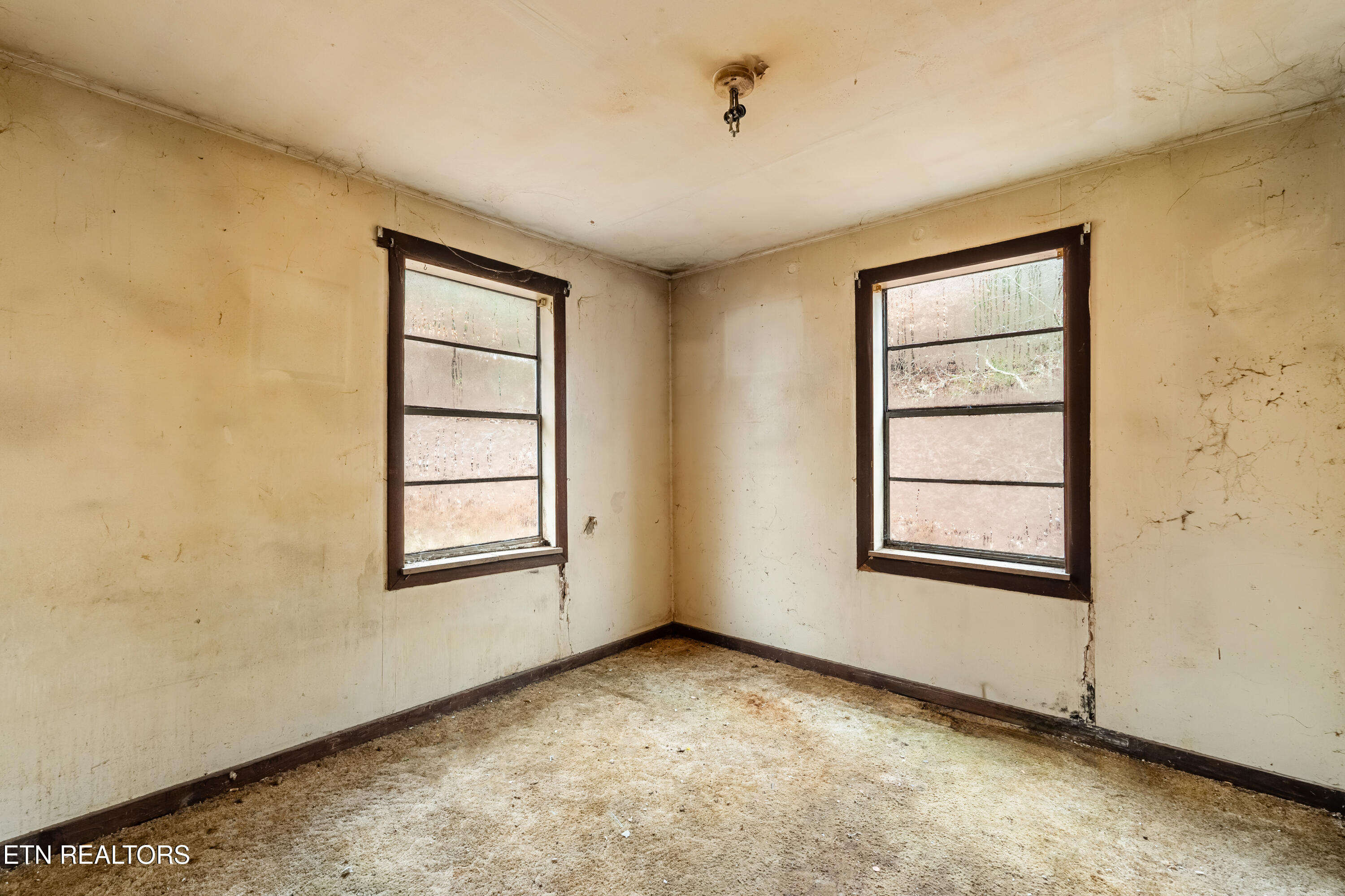 470 Riden Road Greenback, TN 37742 - Photo 18 of 25 DSC07625-HDR