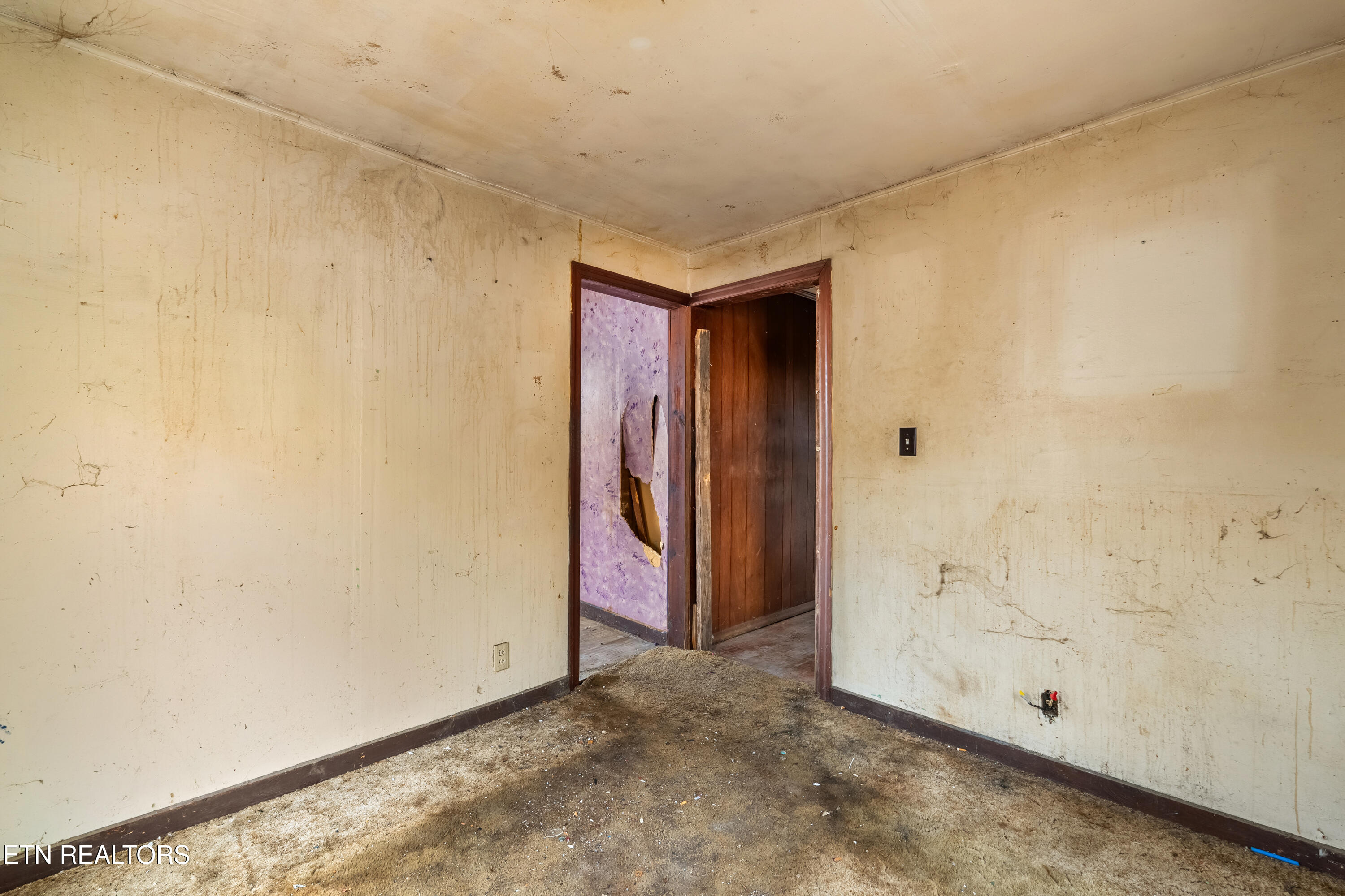 470 Riden Road Greenback, TN 37742 - Photo 19 of 25 DSC07630-HDR