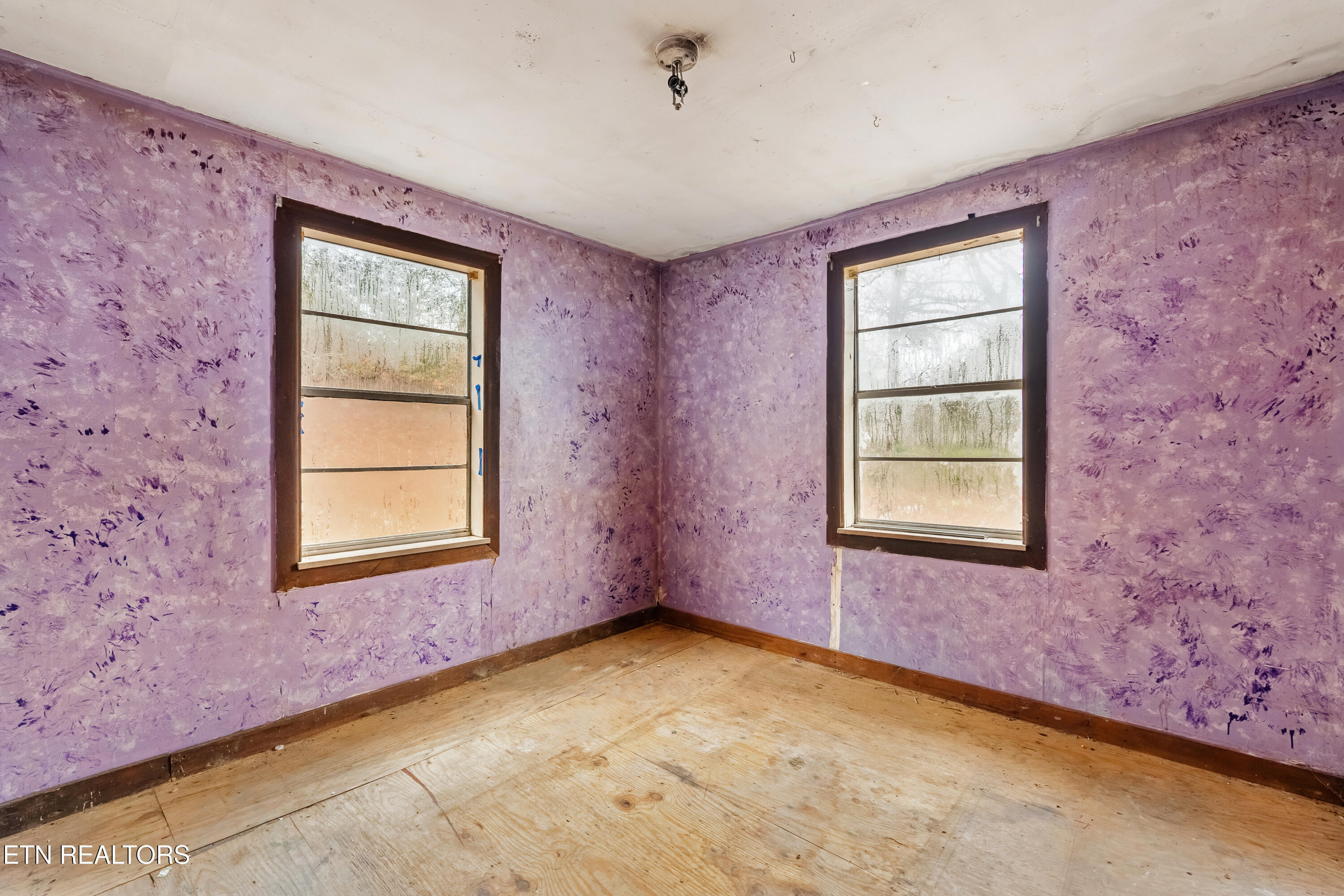 470 Riden Road Greenback, TN 37742 - Photo 20 of 25 DSC07635-HDR