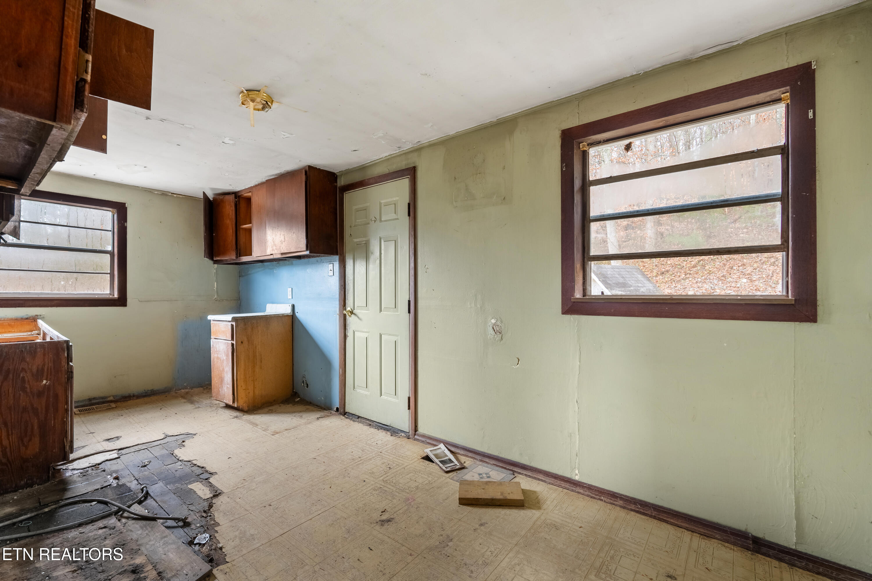 470 Riden Road Greenback, TN 37742 - Photo 10 of 25 DSC07580-HDR