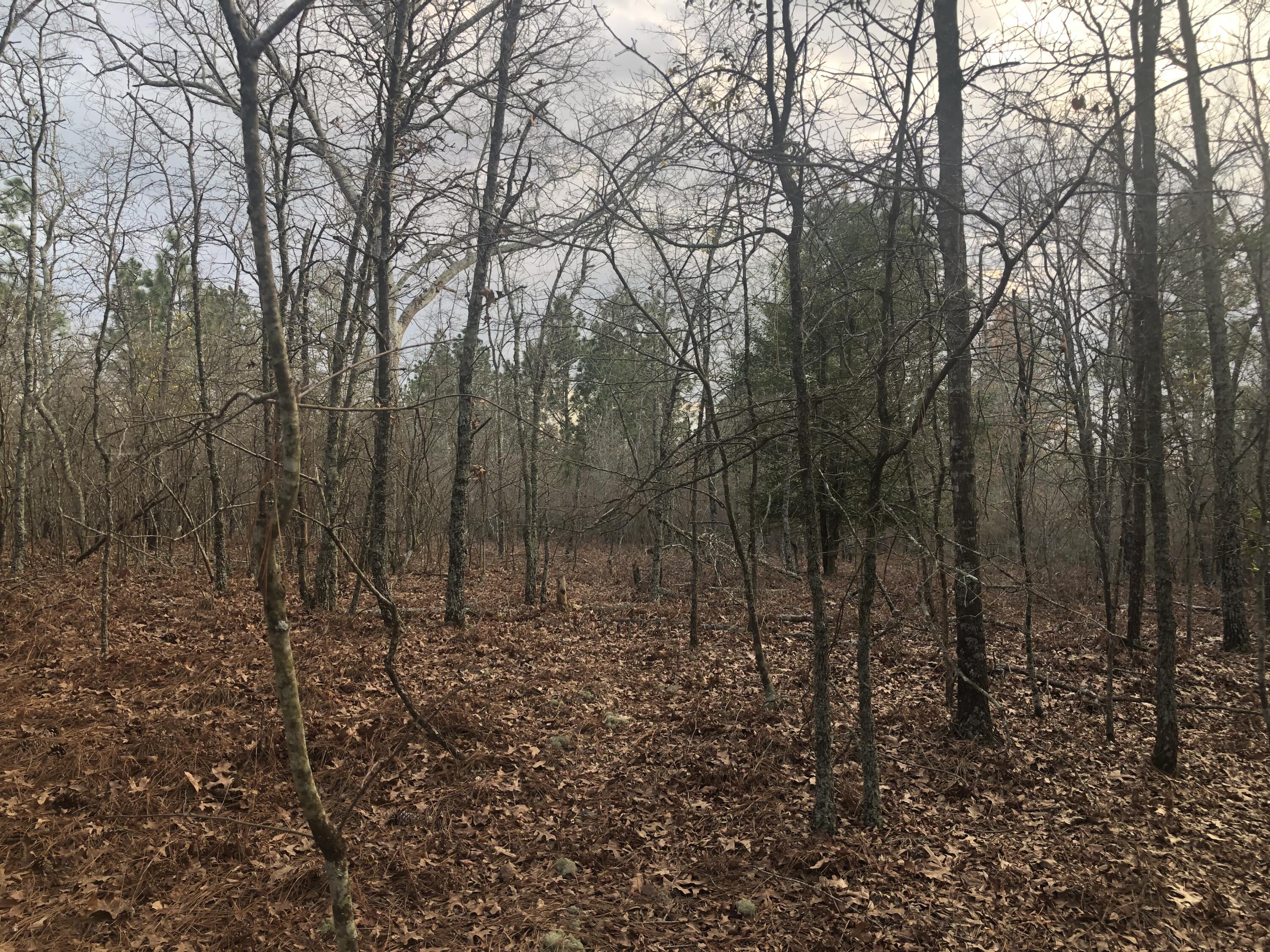 0 Coleman Bridge Road Northeast Aiken, SC 29801 - Photo 3 of 7