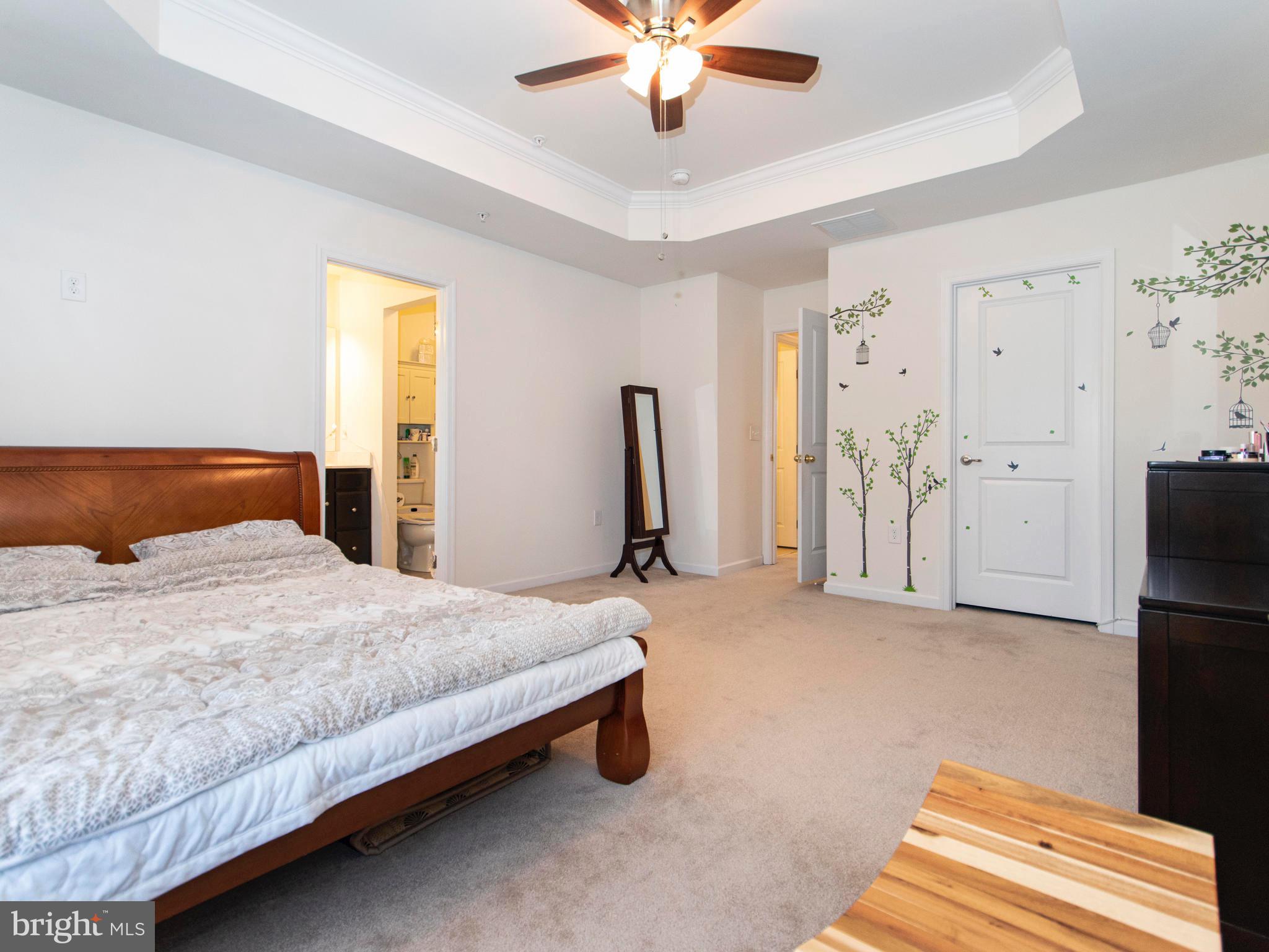119 Old Cedarbrook Road Wyncote, PA 19095 - Photo 10 of 20 Master Bedroom with Tray Ceiling