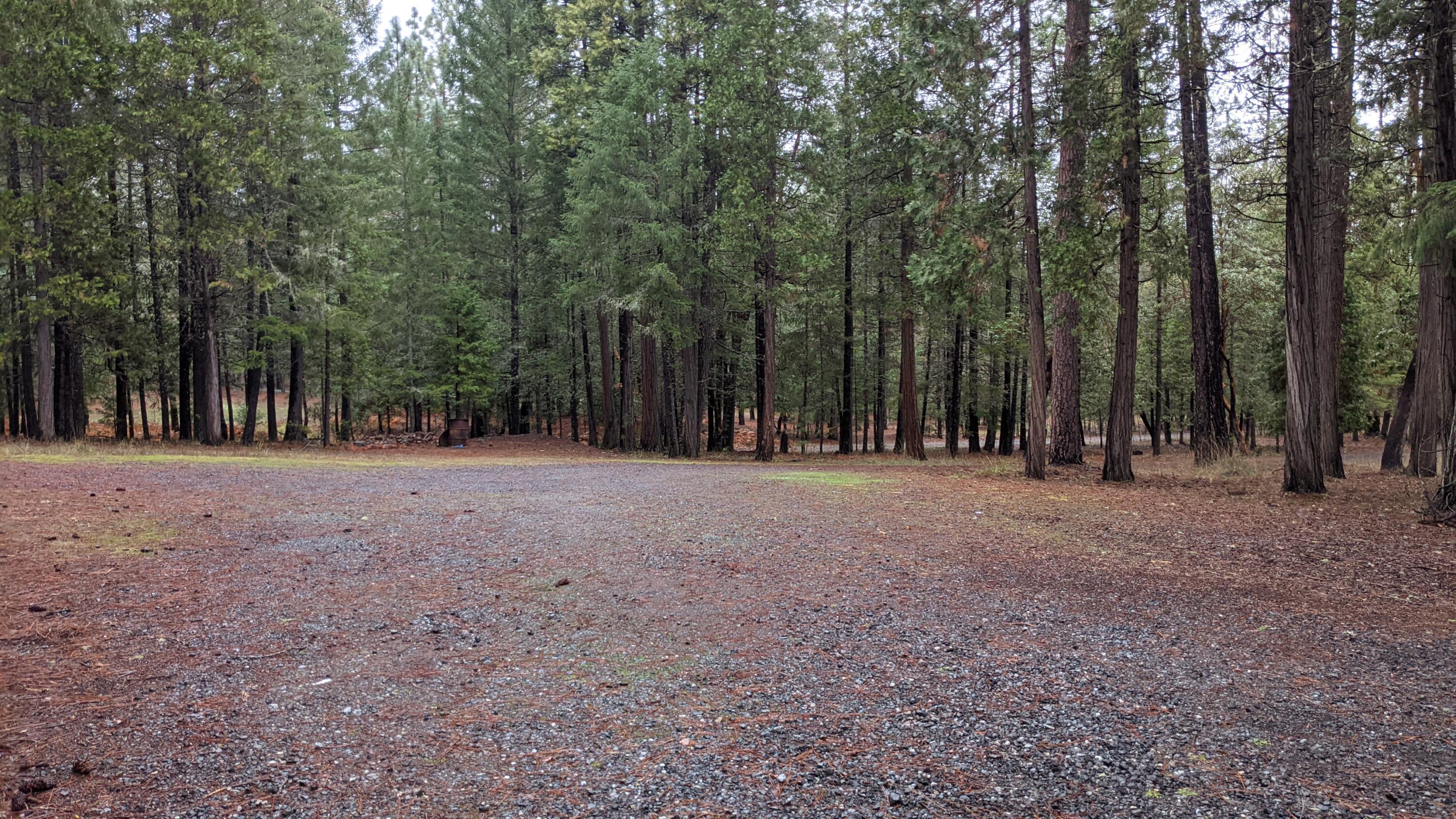 4175 Pleasant Creek Road Rogue River, OR 97537 - Photo 32 of 33 PXL_20211105_200828488