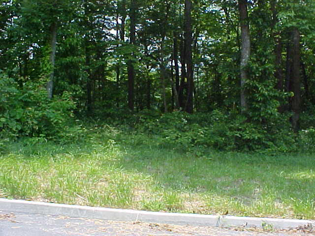 Lot 54 Cherokee Drive Rutledge, TN 37861 - Photo 2 of 2 Lot 54