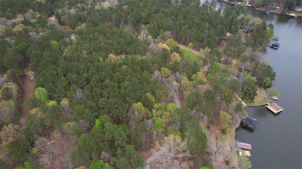 123 Copper Lane Mansfield, GA 30055 - Photo 39 of 43 a view of a forest
