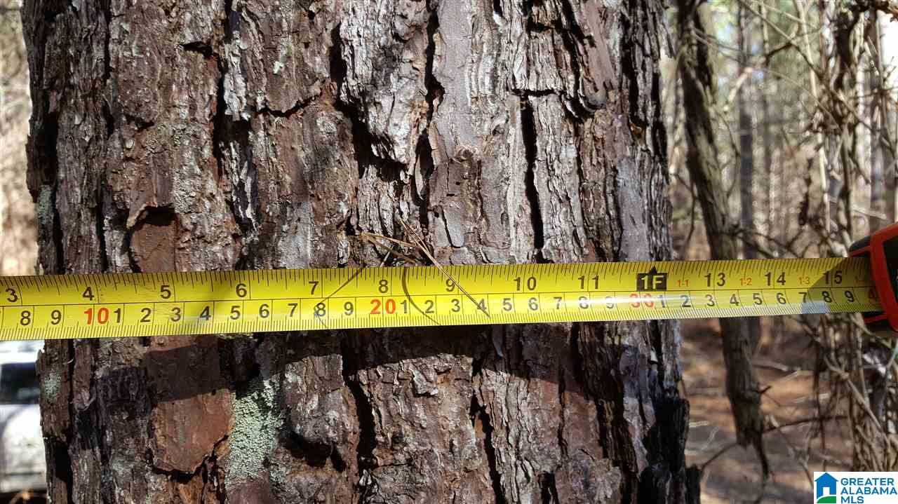 0 Baggett Road, Unit 78 / ACRES Ashland, AL 36251 - Photo 6 of 13