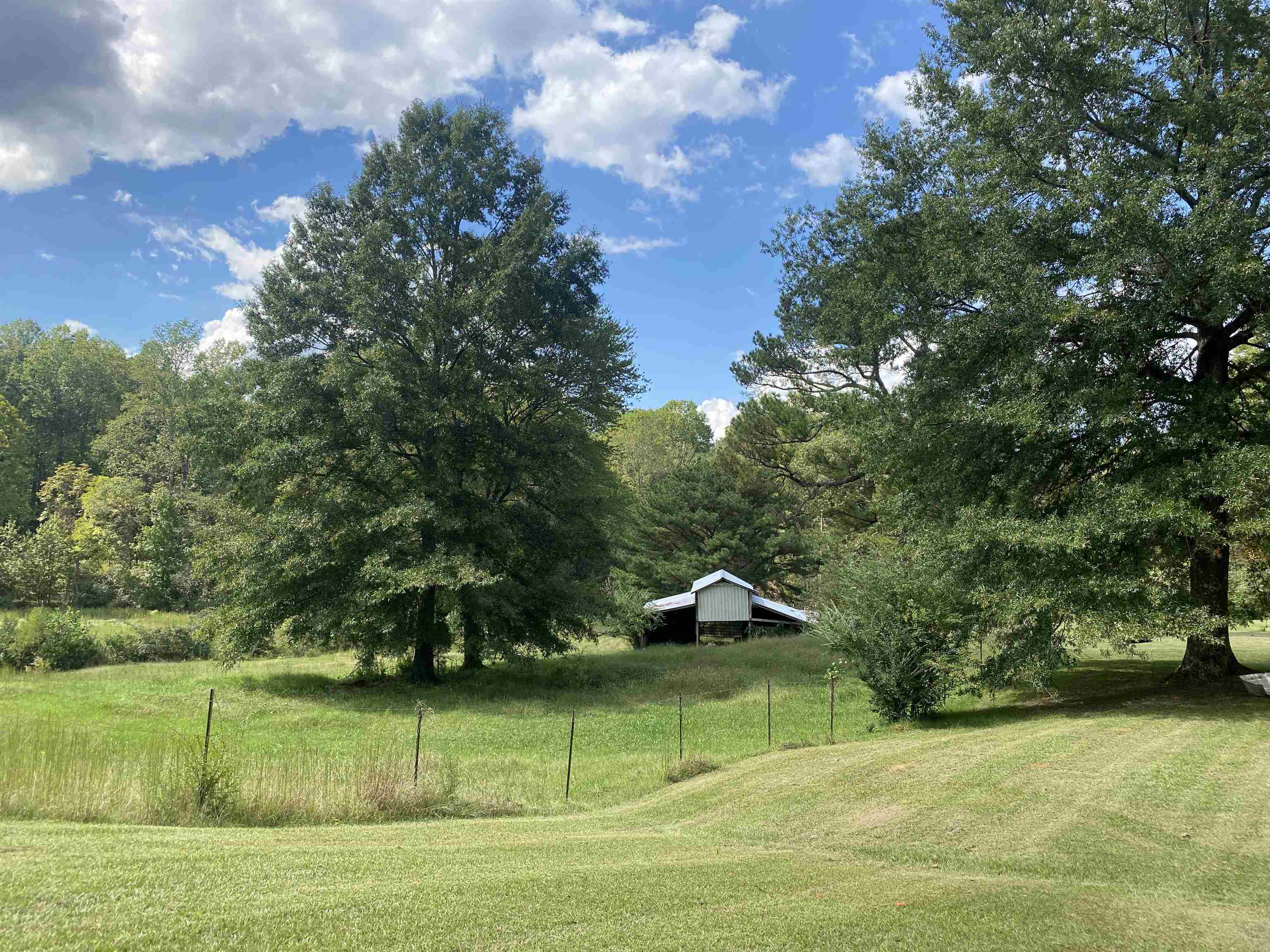 53 Cr 112 Road Tishomingo, MS 38873 - Photo 3 of 39 Gallery Image 3