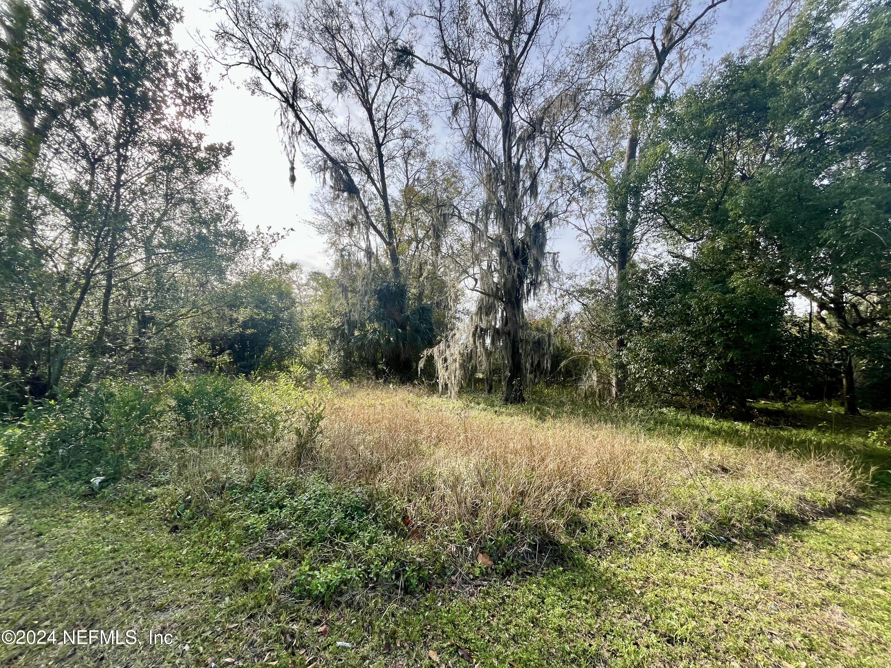 0 Ernjo Road Jacksonville, FL 32209 - Photo 1 of 5 0 Ernjo Road