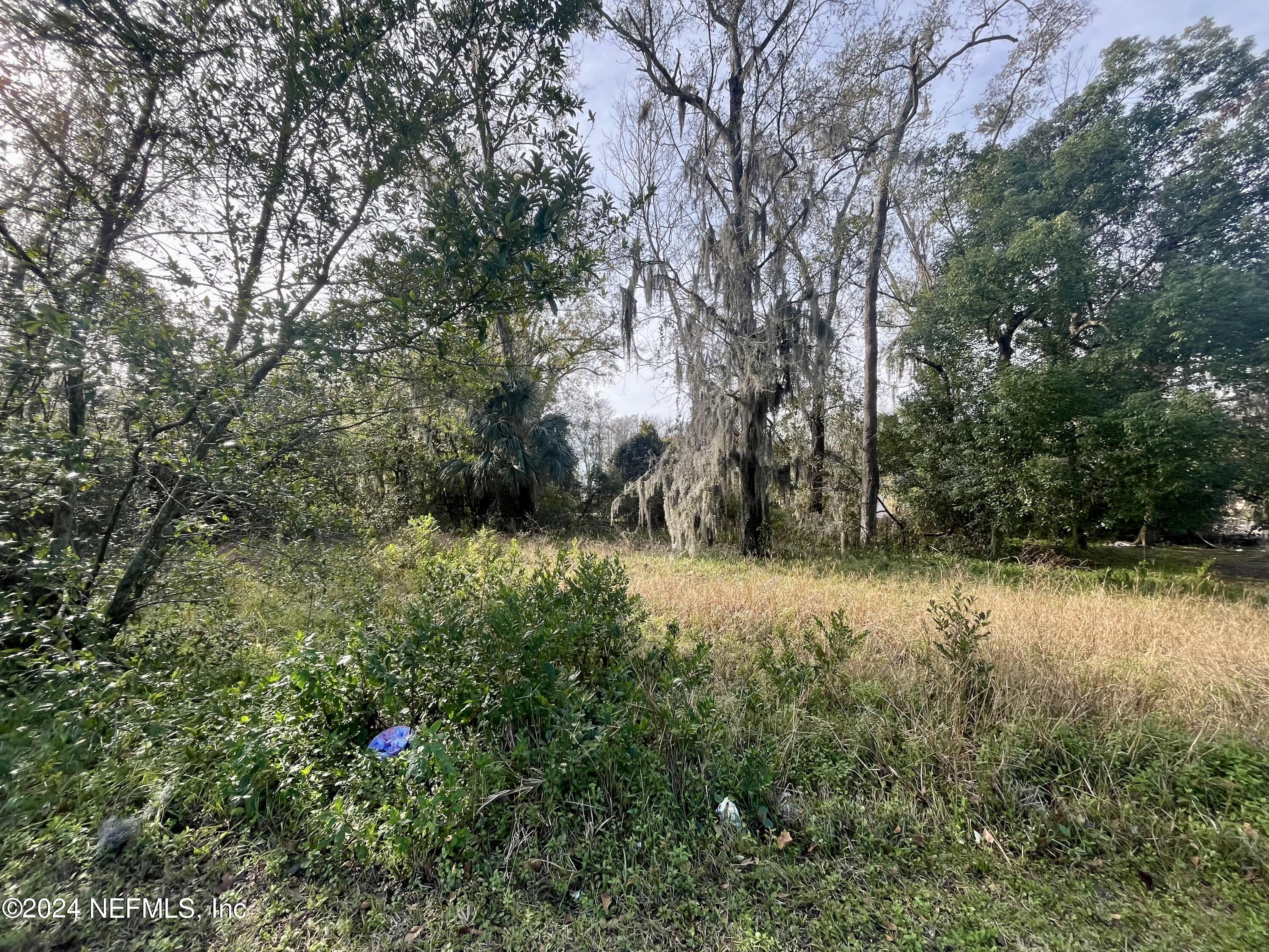0 Ernjo Road Jacksonville, FL 32209 - Photo 3 of 5 0 Ernjo Road