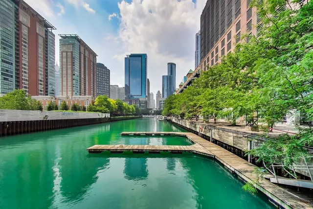 $1,950,000 | 438 East North Water Street, Chicago, IL 60611