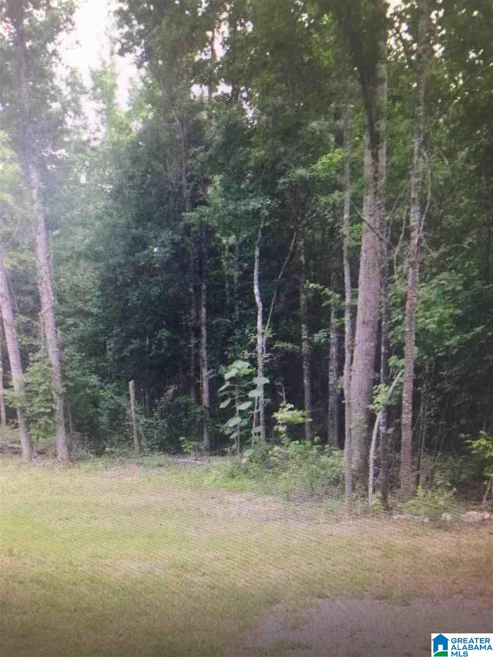 678 County Road 365, Unit 9 ACRES Clanton, AL 35045 - Photo 3 of 3