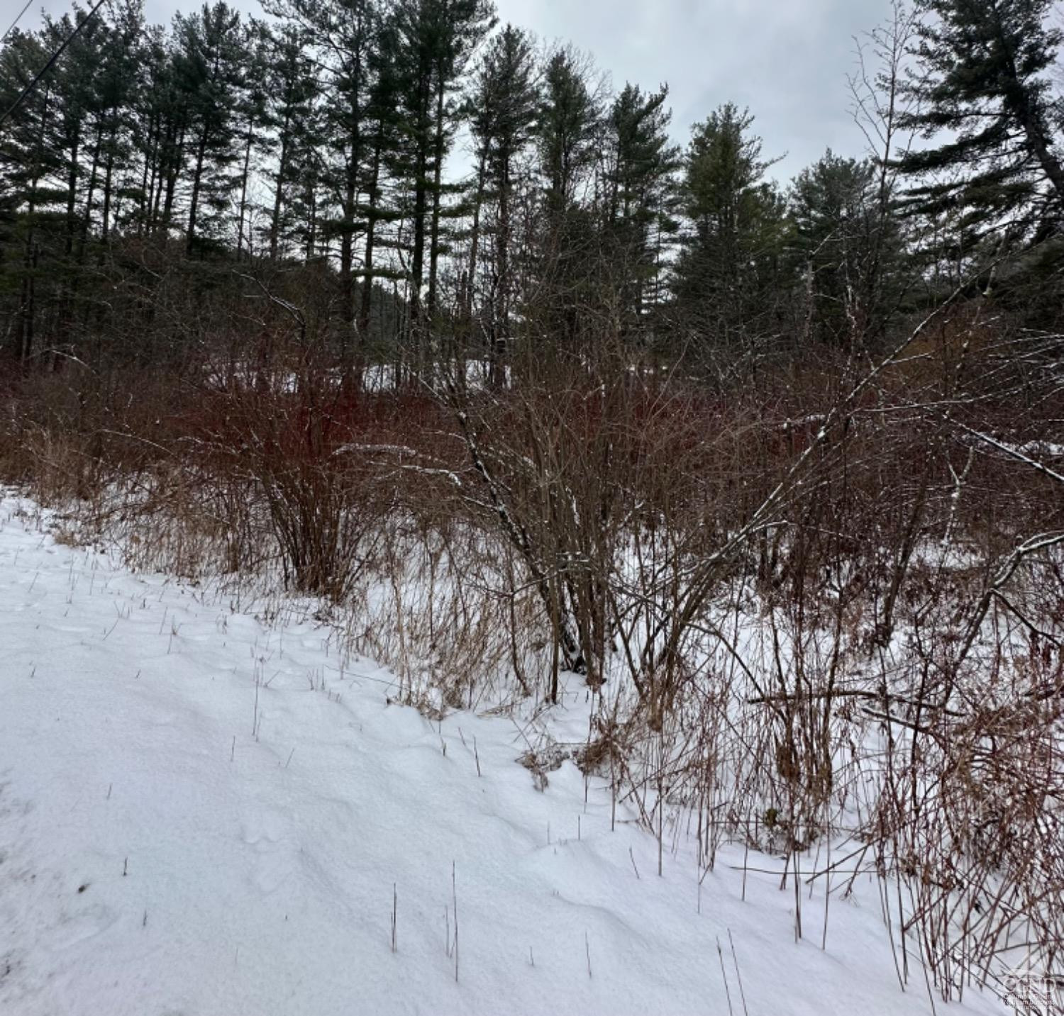 0 Old Queechy Road Canaan, NY 12029 - Photo 1 of 4 Photo 1