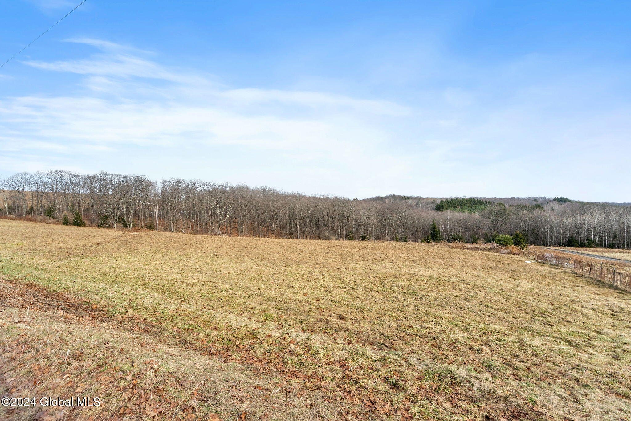 L36 County Route 358 Rensselaerville, NY 12147 - Photo 3 of 8 1-web-or-mls-co-rd-358