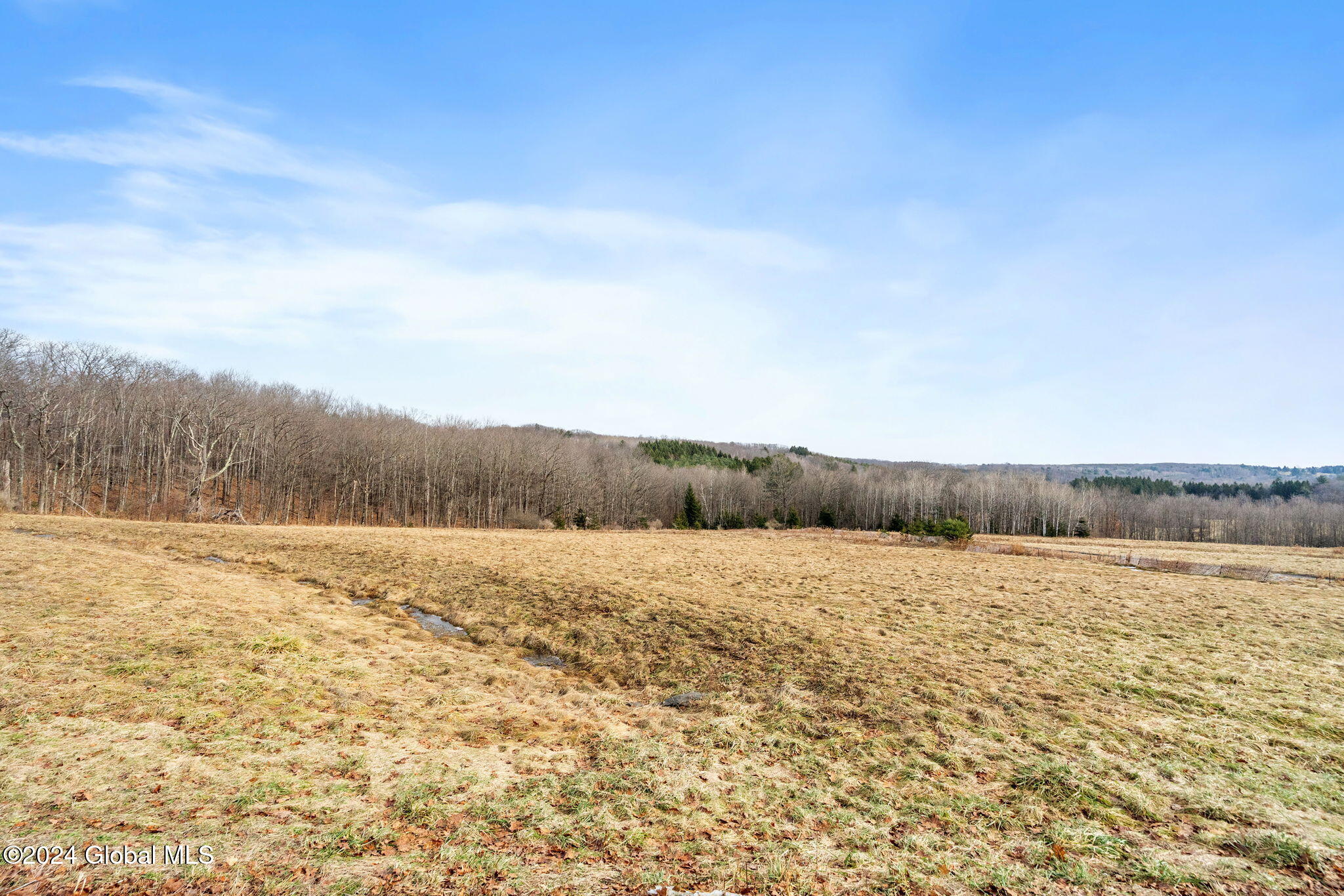 L36 County Route 358 Rensselaerville, NY 12147 - Photo 4 of 8 3-web-or-mls-co-rd-358