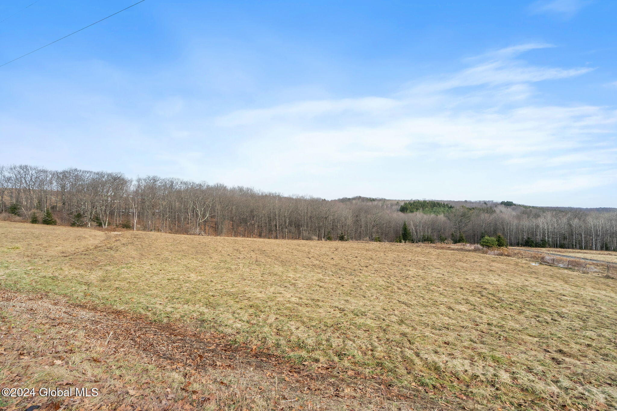 L36 County Route 358 Rensselaerville, NY 12147 - Photo 5 of 8 2-web-or-mls-co-rd-358