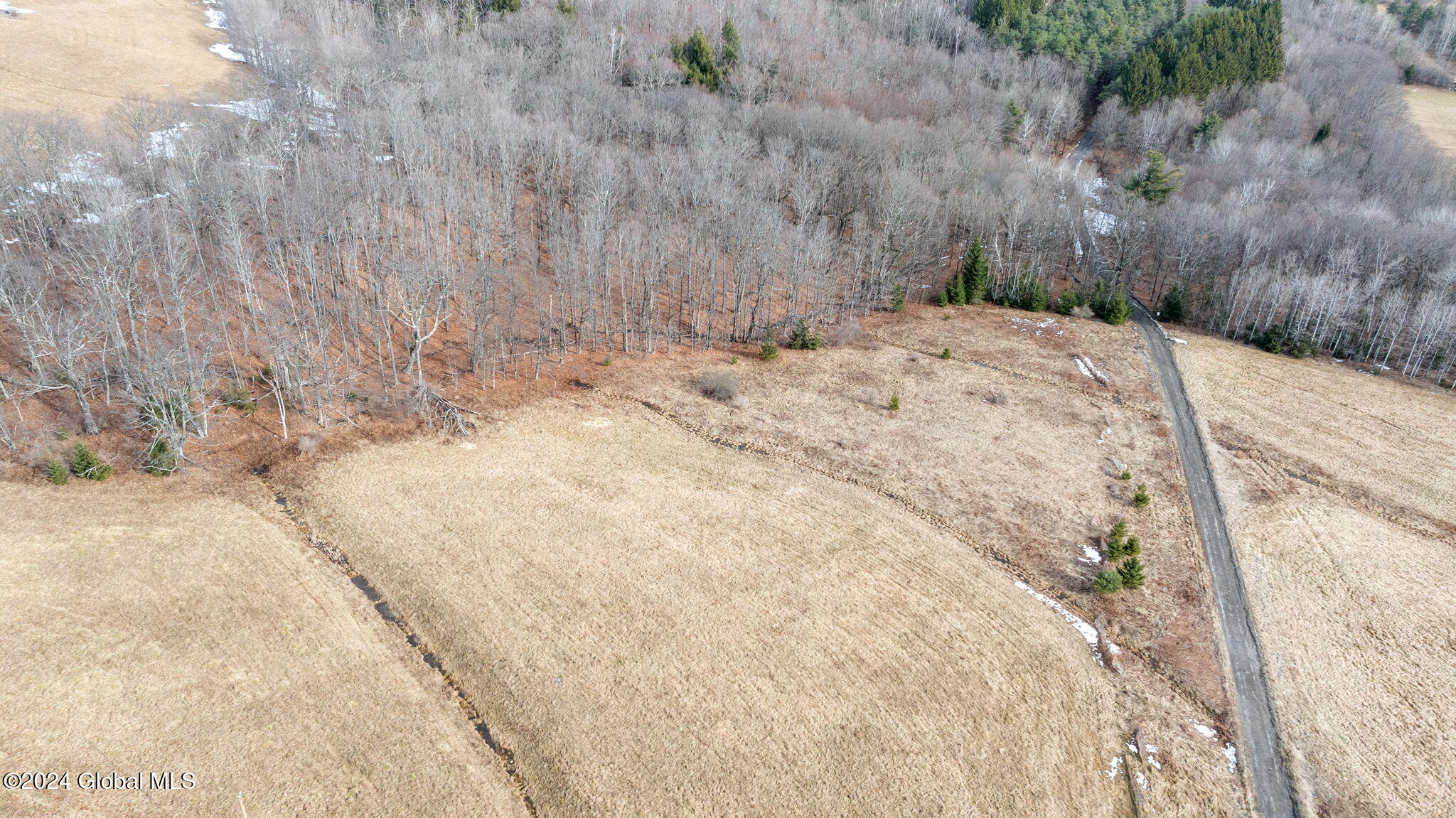 L36 County Route 358 Rensselaerville, NY 12147 - Photo 8 of 8 7-web-or-mls-co-rd-358