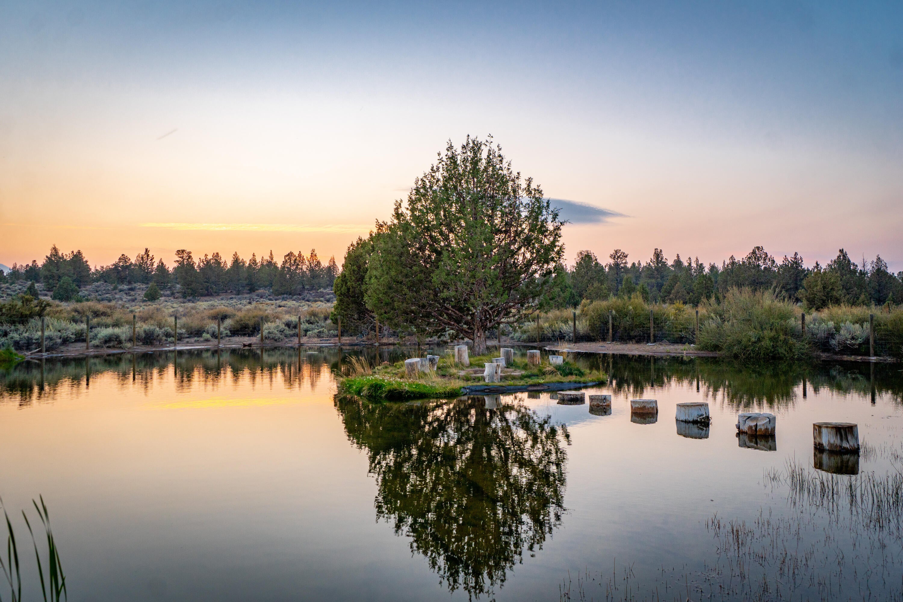 67395 Fryrear Road Bend, OR 97703 - Photo 6 of 71 6. Pond with tree at sunset6