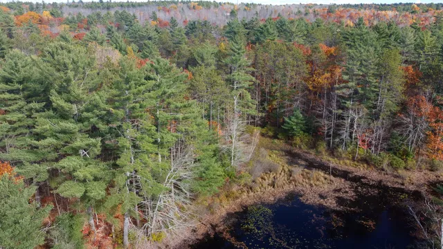 $57,500 | Lot 20.2 Off Route 3, Montville, ME 04941