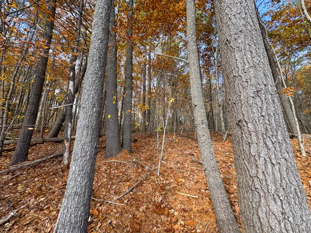 $57,500 | Lot 20.2 Off Route 3, Montville, ME 04941
