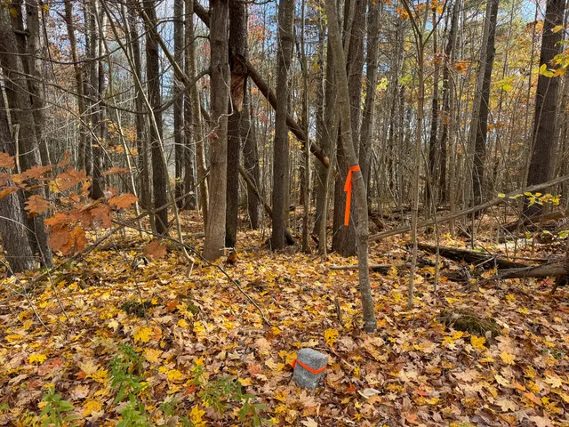 $57,500 | Lot 20.2 Off Route 3, Montville, ME 04941