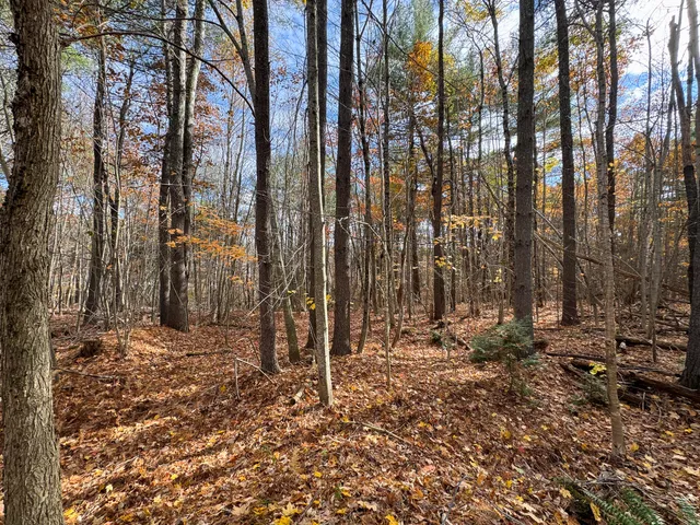 $57,500 | Lot 20.2 Off Route 3, Montville, ME 04941