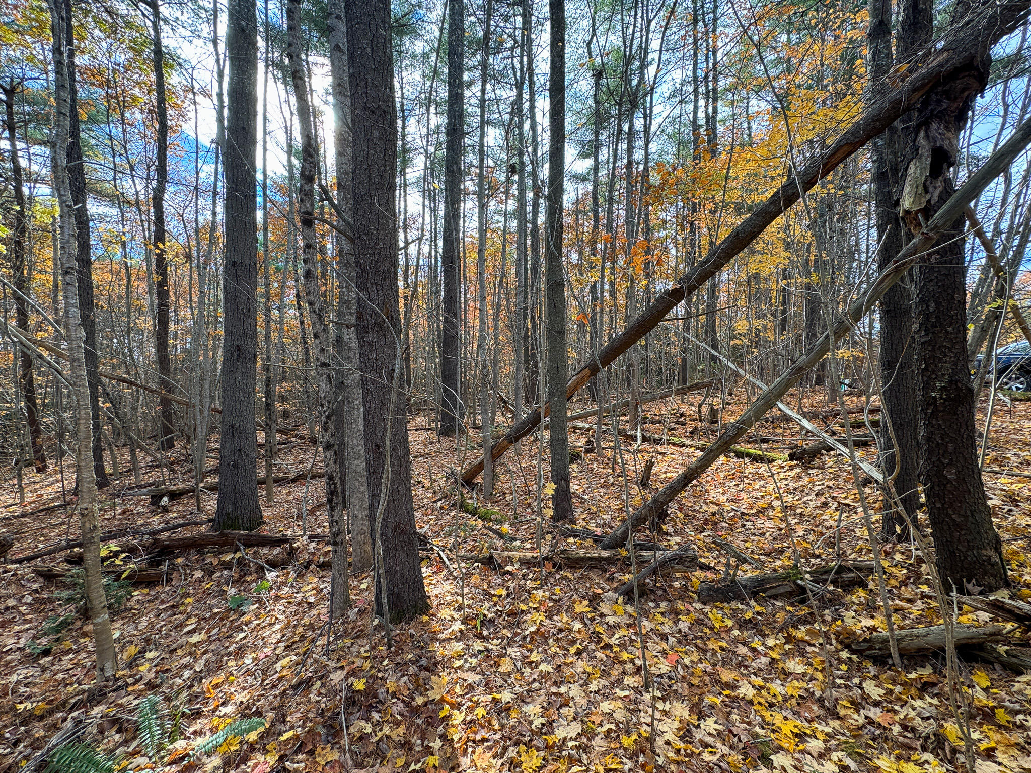 Lot 20.2 Off Route 3 Montville, ME 04941 - Photo 19 of 19 IMG_0156