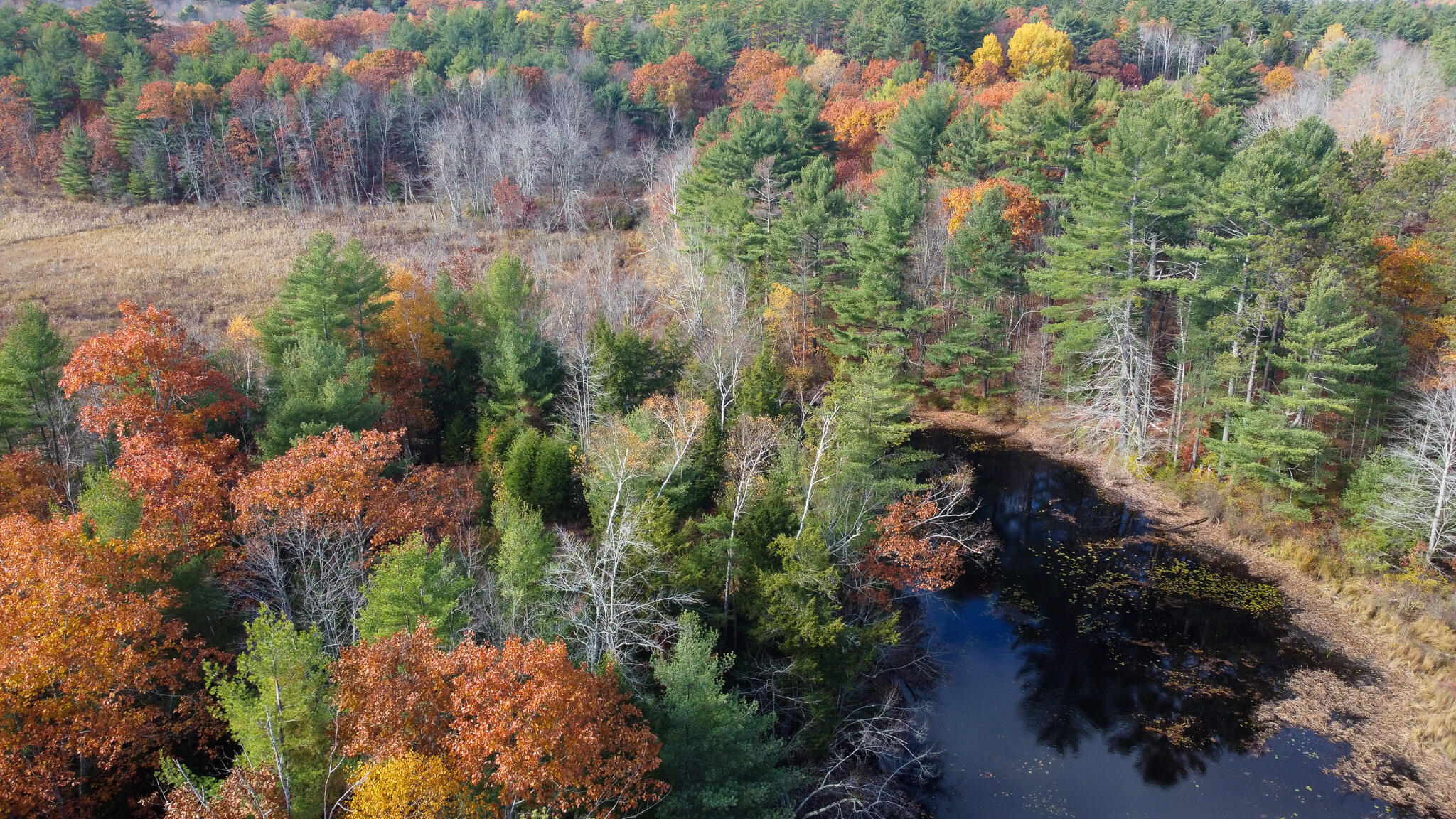 Lot 20.2 Off Route 3 Montville, ME 04941 - Photo 3 of 19 3
