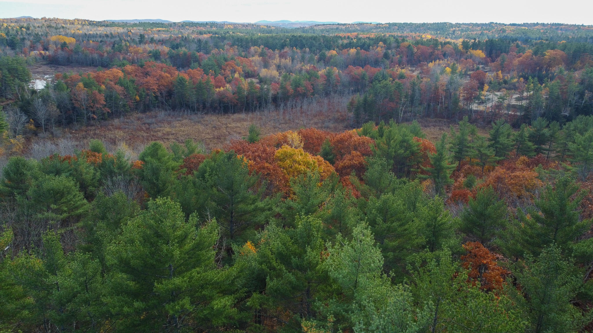 Lot 20.2 Off Route 3 Montville, ME 04941 - Photo 5 of 19 DJI_0046