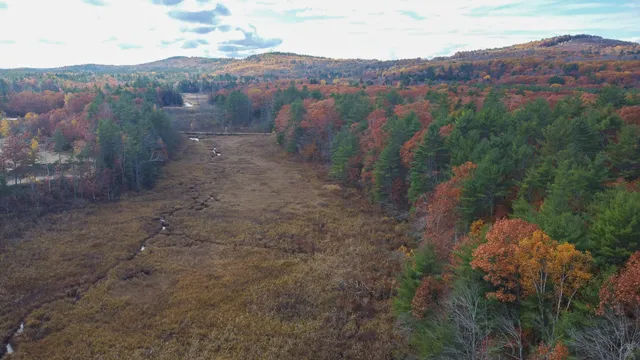 $57,500 | Lot 20.2 Off Route 3, Montville, ME 04941