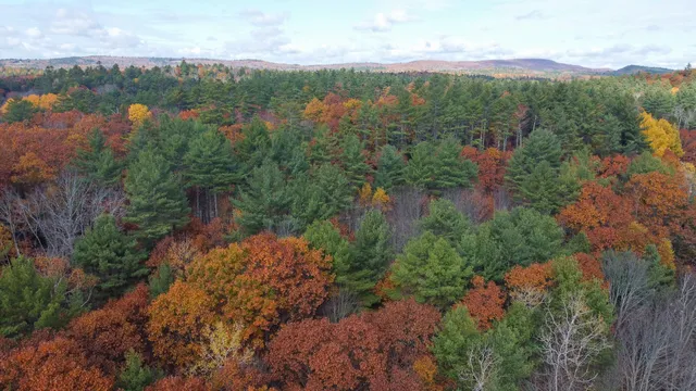 $57,500 | Lot 20.2 Off Route 3, Montville, ME 04941