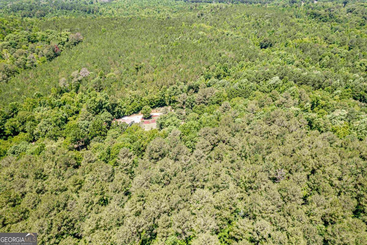 4271 Veazey Road Greensboro, GA 30642 - Photo 58 of 65