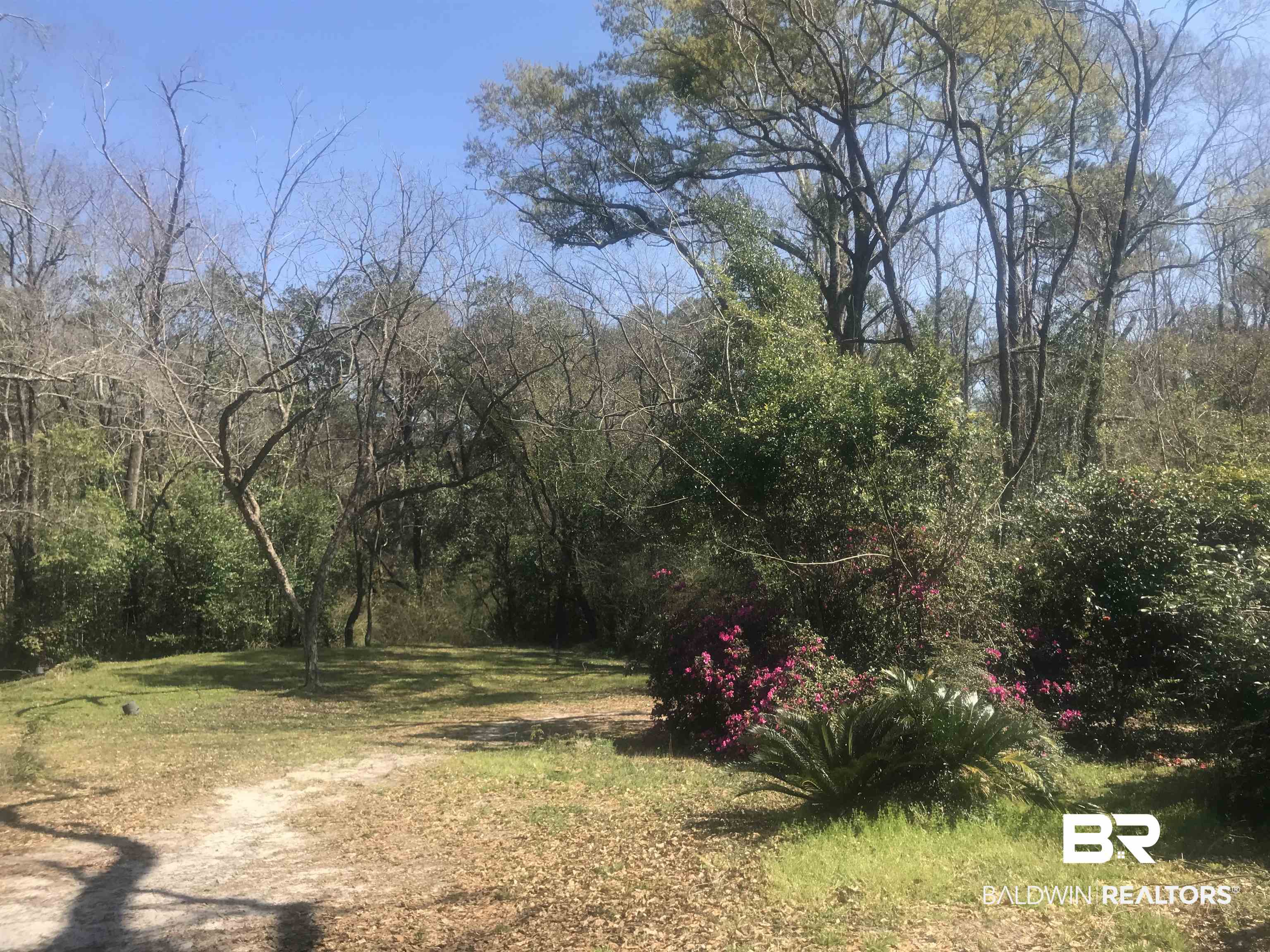 425 Byron Avenue East Mobile, AL 36609 - Photo 5 of 5