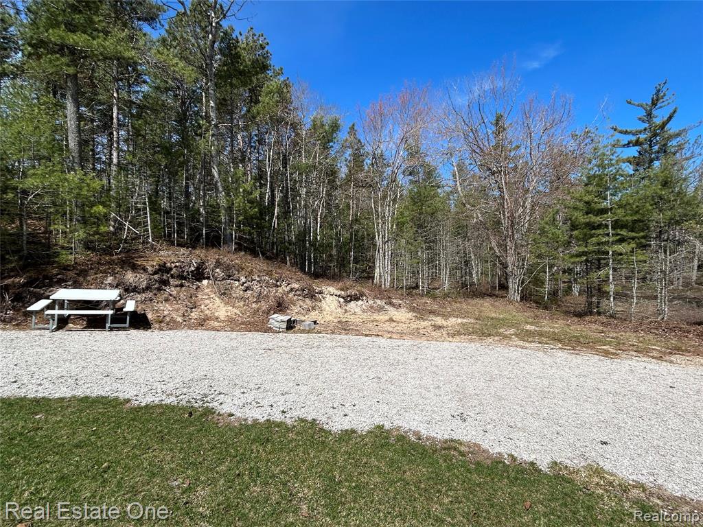 251N South Lake Michigan Road Gulliver, MI 49840 - Photo 19 of 42