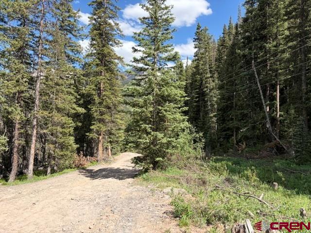 10.33-ac 10.33-ac Imogene Road Ridgway, CO 81432 - Photo 10 of 22