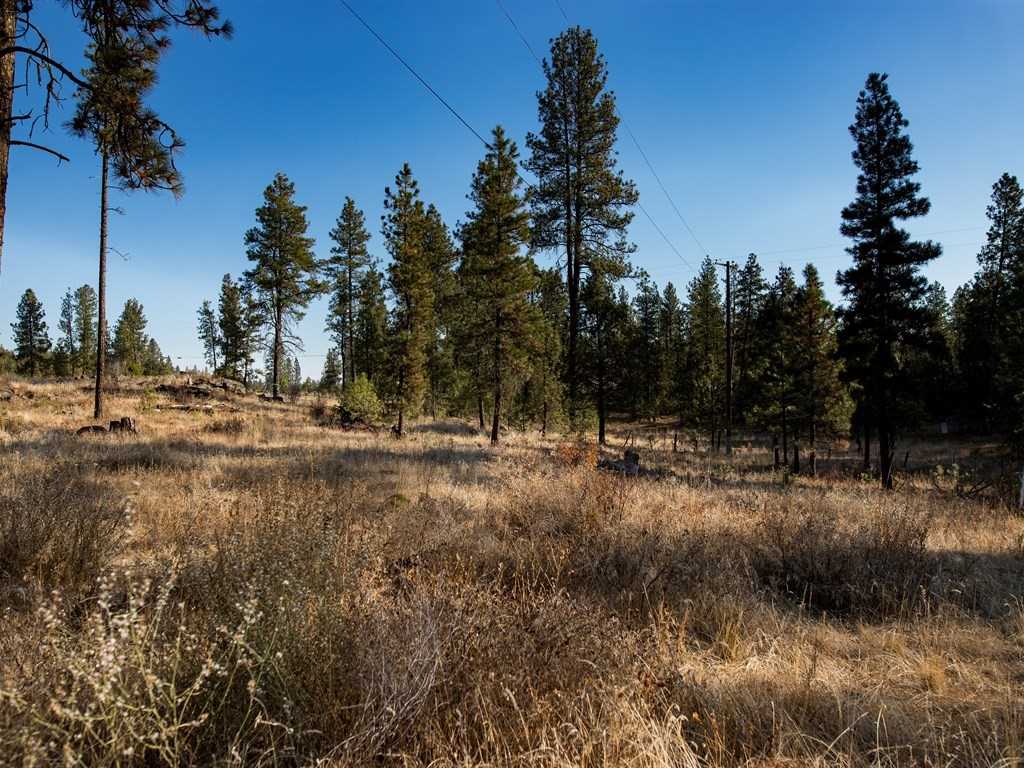21107 South Short Road Cheney, WA 99004 - Photo 18 of 18