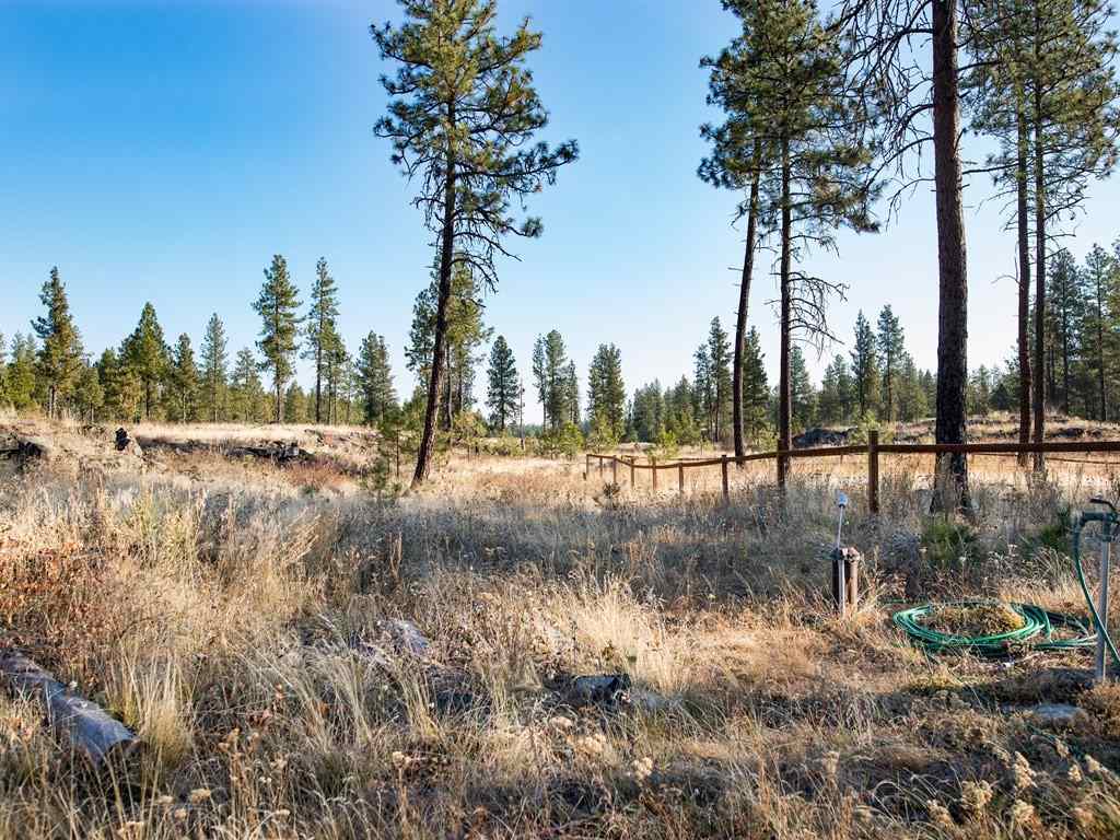 21107 South Short Road Cheney, WA 99004 - Photo 5 of 18
