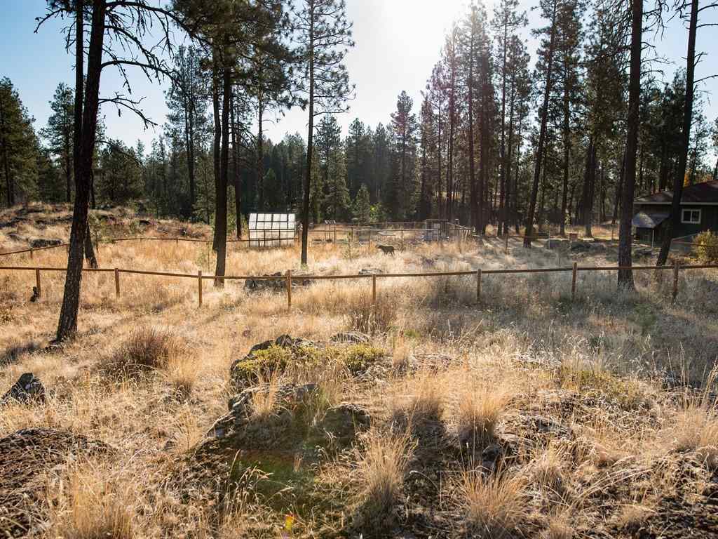 21107 South Short Road Cheney, WA 99004 - Photo 6 of 18