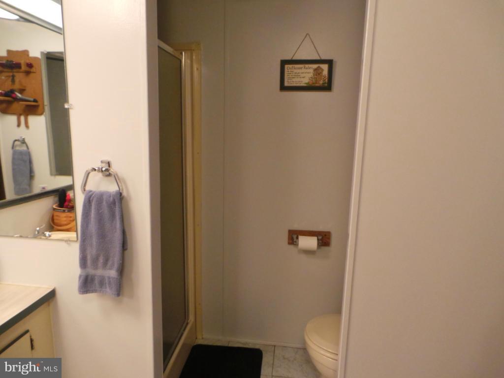 2048 Tabor Road Berkeley Springs, WV 25411 - Photo 11 of 30 Bath (Master)