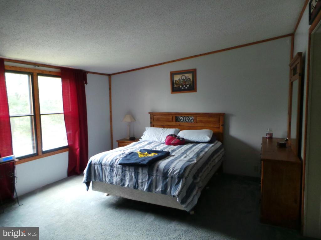 2048 Tabor Road Berkeley Springs, WV 25411 - Photo 9 of 30 Bedroom (Master)
