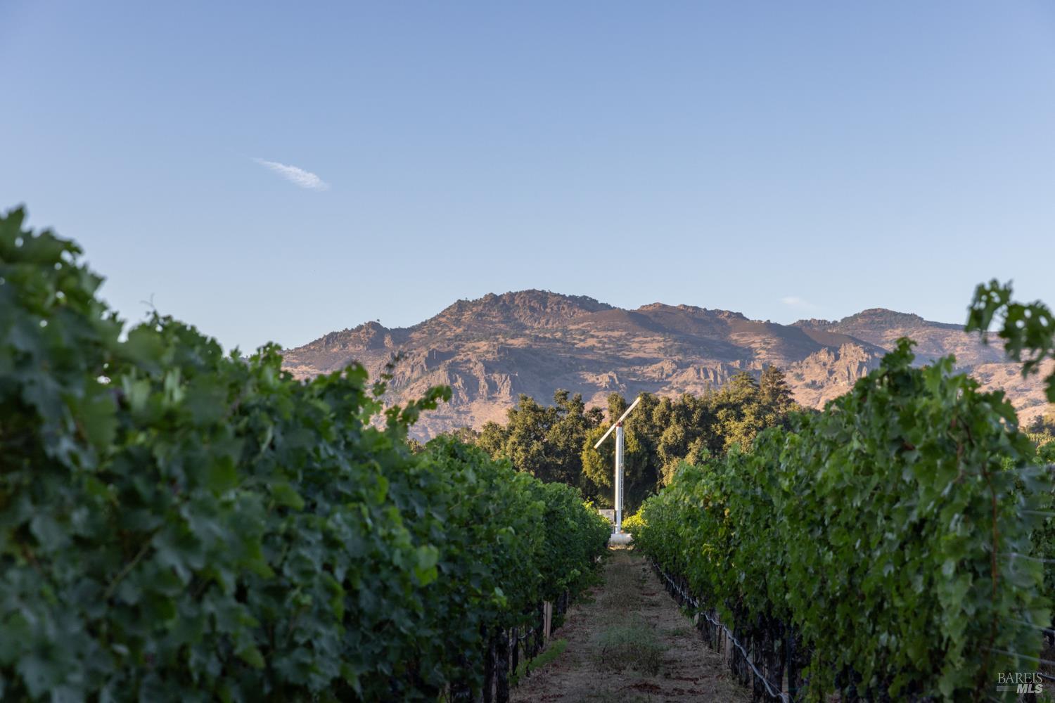 0 Ragatz Lane Napa, CA 94558 - Photo 17 of 27 Gallery Image 17