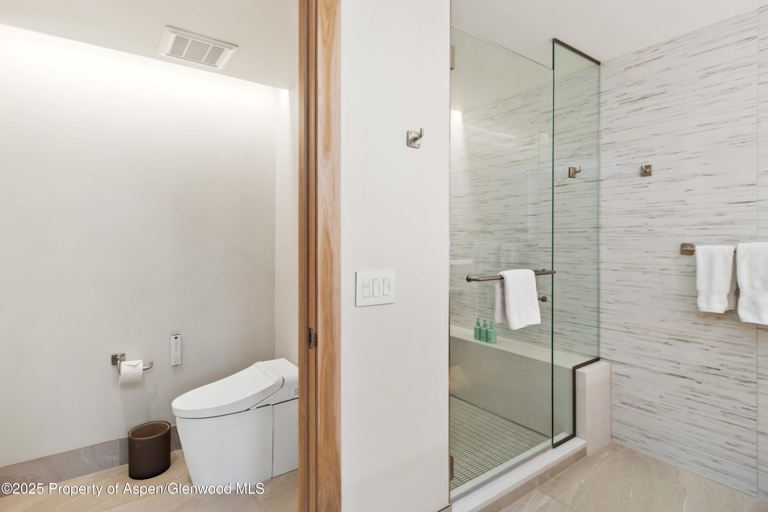 130 Wood Road, Unit 151 Snowmass Village, CO 81615 - Photo 12 of 16 a bathroom with a toilet and shower