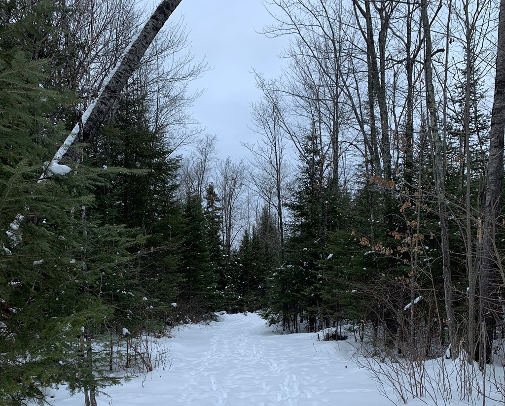0 Other Butternut, WI 54514 - Photo 17 of 21