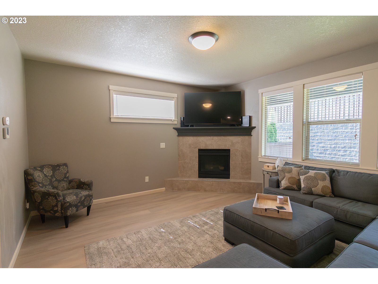 4309 North 4th Circle Ridgefield, WA 98642 - Photo 6 of 24 a living room with furniture a flat screen tv and a fireplace