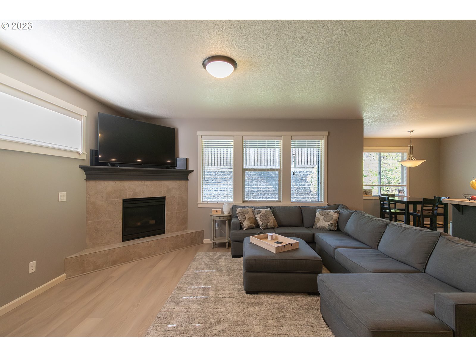 4309 North 4th Circle Ridgefield, WA 98642 - Photo 7 of 24 a living room with furniture and a fireplace